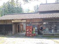 ツアー情報