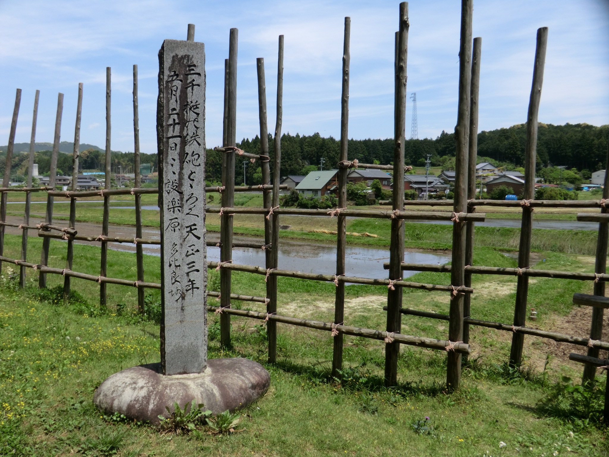 ツアー情報
